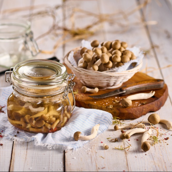 Nakládané houby shimeji